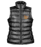 ASL Urban Ice Bird Ladies Gilet